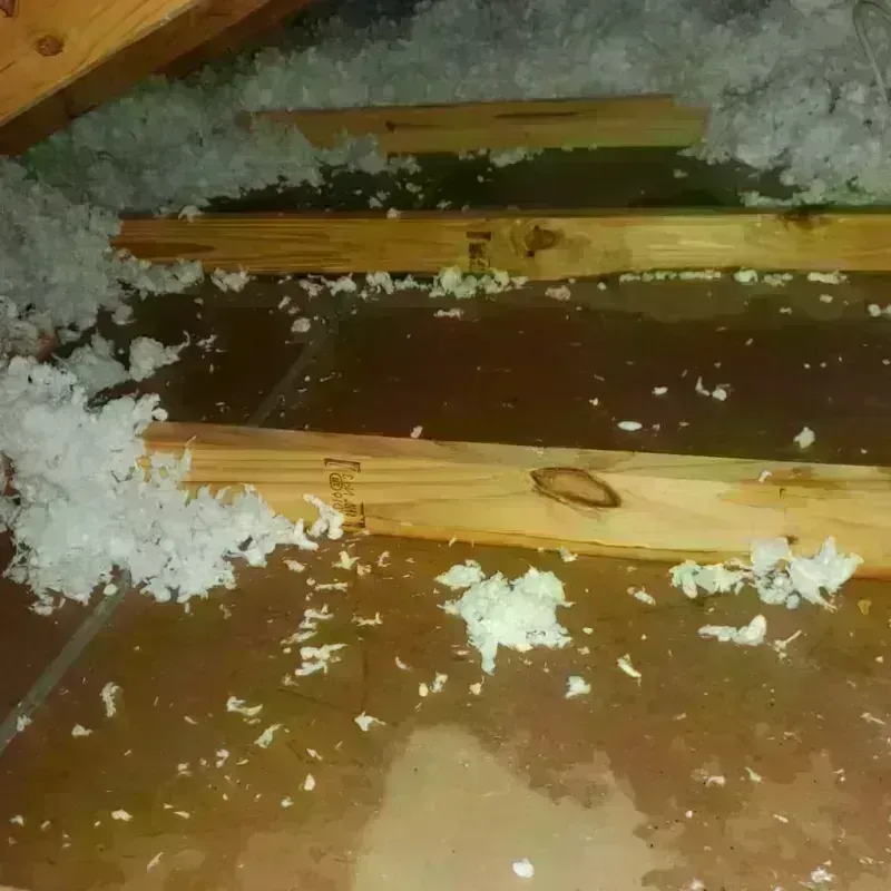 Attic Water Damage in Havana, IL