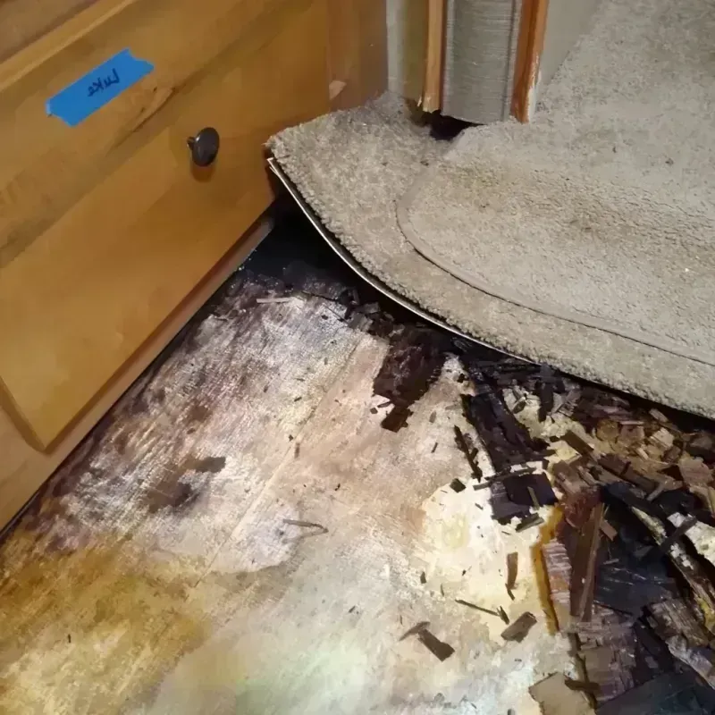 Wood Floor Water Damage in Havana, IL